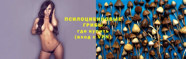 a pvp Белокуриха
