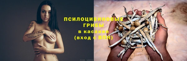 a pvp Белокуриха