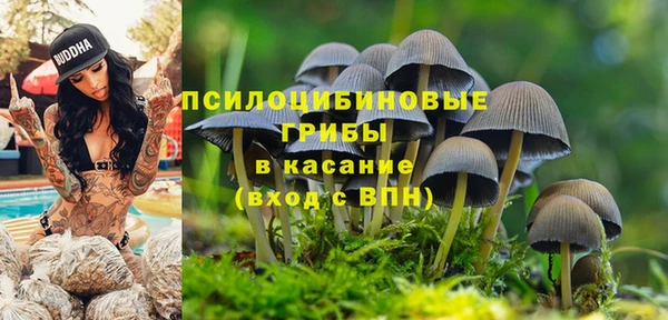 a pvp Белокуриха