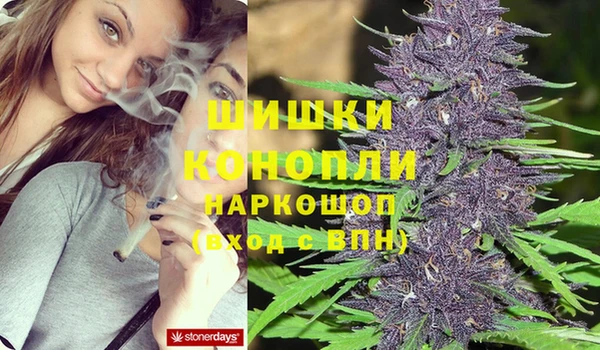 a pvp Белокуриха