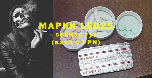 a pvp Белокуриха