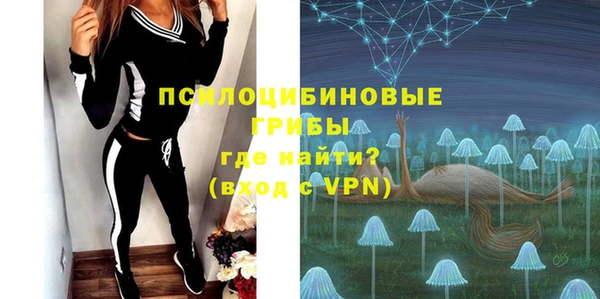 a pvp Белокуриха