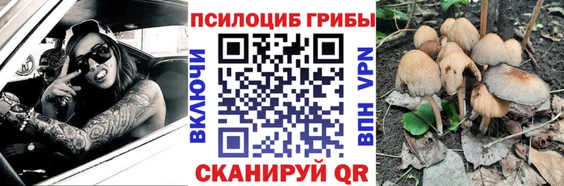Псилоцибиновые грибы Cubensis Шилка