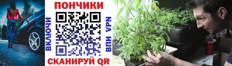 как найти наркотики  Шилка  Бошки марихуана AK-47 